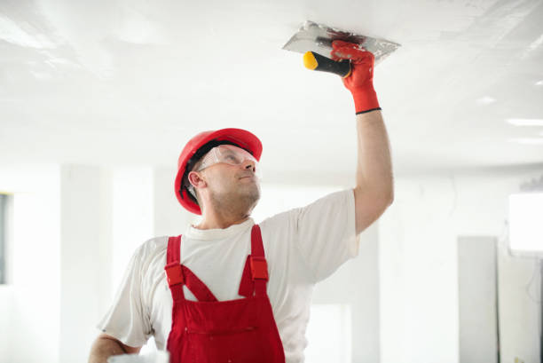 Eco-Friendly and Low-VOC Painting in River Road, OR